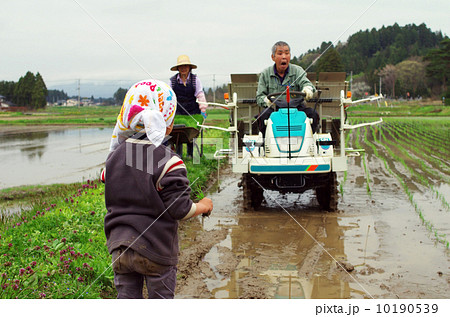 子供の田植え風景 10190539