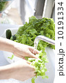サラダ　洗う 10191334
