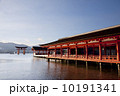 宮島　厳島神社　大鳥居　廻廊 10191341