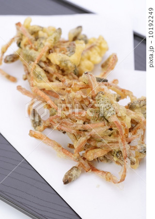 土筆の天ぷら 10192249