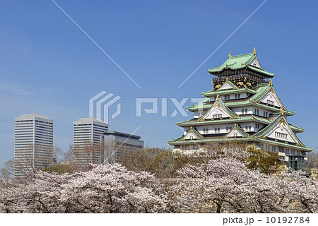 春の大阪城 10192784
