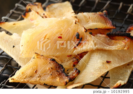 エイひれ エイひれ 10192995