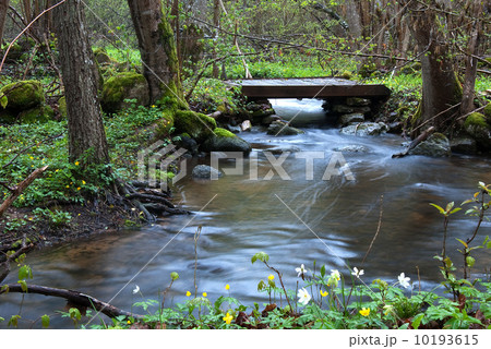 Streaming water Streaming water 10193615