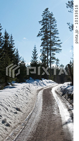Country road 10193616