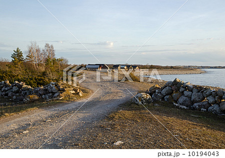 Along the coast 10194043