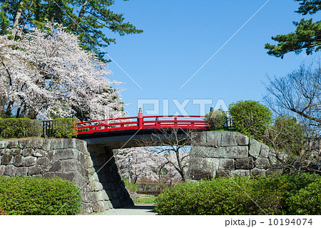 春の小田原城址公園 桜と常盤木橋の写真素材 春の小田原城址公園 桜と常盤木橋の写真素材