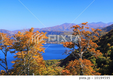紅葉の十和田湖・発荷峠 紅葉の十和田湖・発荷峠 10194595