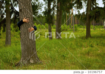 Man hugging big tree in forest Man hugging big tree in forest 10196757