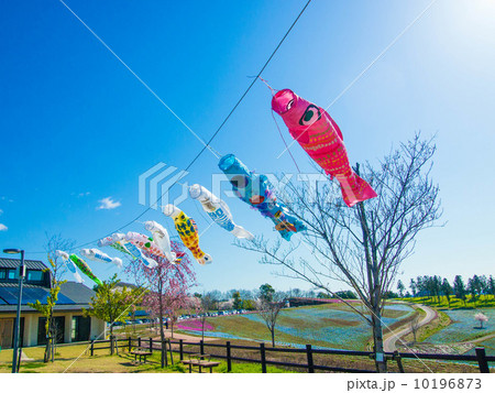 節句 節句 10196873