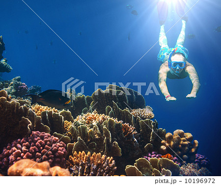 Snorkel 10196972