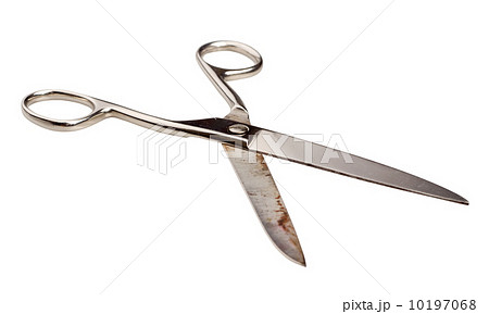 Scissors 10197068