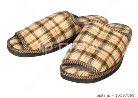 house slippers 10197069