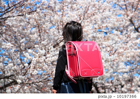 桜を見る新一年生 10197366