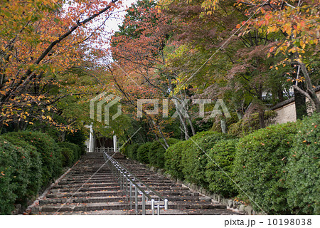 宗忠神社 10198038