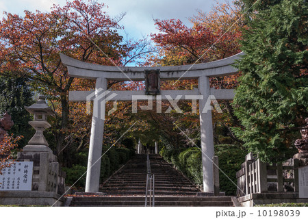 宗忠神社 10198039