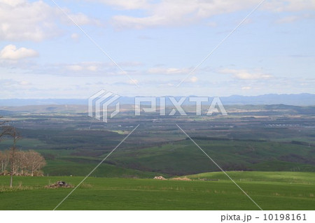 ナイタイ高原からの眺め ナイタイ高原からの眺め 10198161