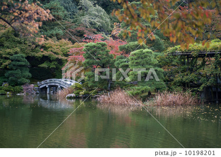 仙洞御所　南池 10198201