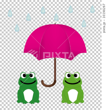 雨傘和青蛙 10198267