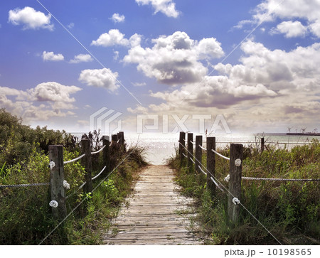 Sunset By The Ocean 10198565