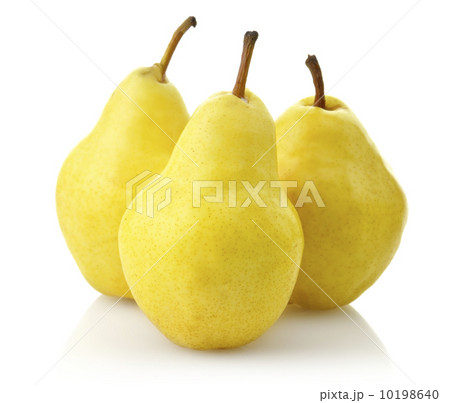 Yellow Pears 10198640