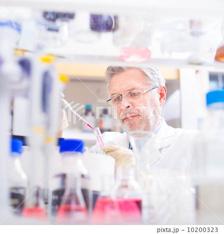Life scientist researching in the laboratory. Life scientist researching in the laboratory. 10200323