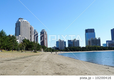 お台場海浜公園　砂浜 10200416