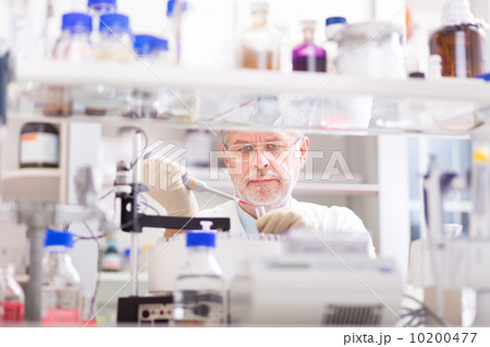 Life scientist researching in the laboratory. Life scientist researching in the laboratory. 10200477