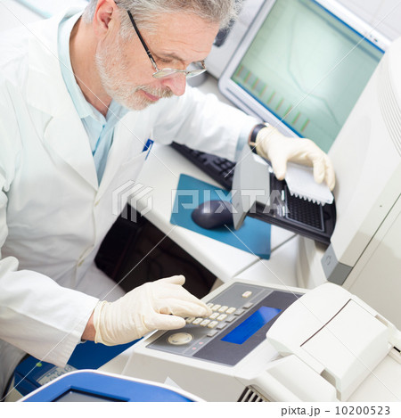 Life scientist researching in the laboratory. 10200523