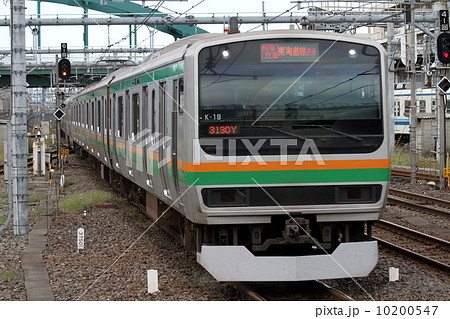 E231系電車　湘南新宿ライン 10200547