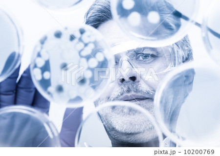 Senior life science researcher grafting bacteria. Senior life science researcher grafting bacteria. 10200769