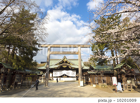 靖国神社と満開の桜 10201009