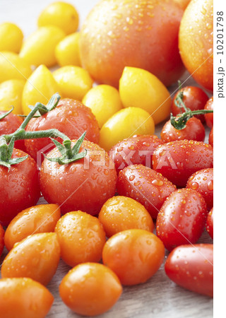 トマト集合イメージ トマト集合イメージ 10201798