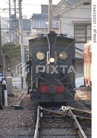 坊ちゃん列車 10201943