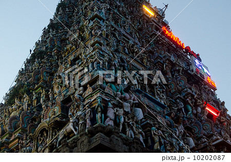 南インドのお寺(チェンナイ・カーパーレーシュワラ寺院) 南インドのお寺(チェンナイ・カーパーレーシュワラ寺院) 10202087