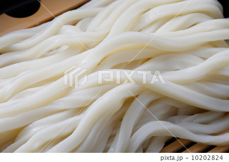 ざるうどん ざるうどん 10202824