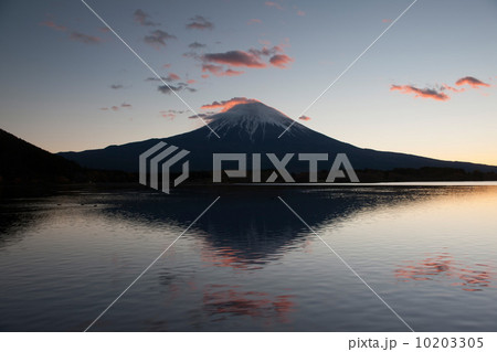 夜明けの田貫湖から見る富士山 10203305