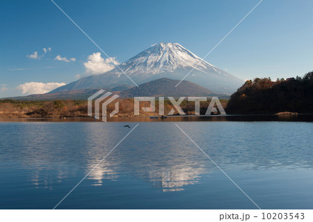 精進湖からの富士山 精進湖からの富士山 10203543