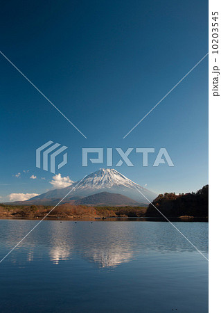 精進湖からの富士山 10203545