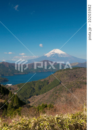大観山からの富士山 大観山からの富士山 10203982