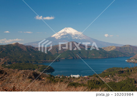 大観山からの富士山 10203984