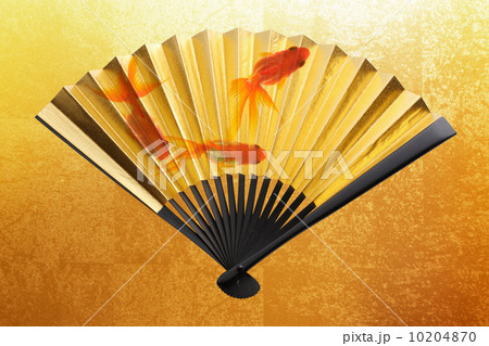 金色の扇子と金魚のイラスト素材