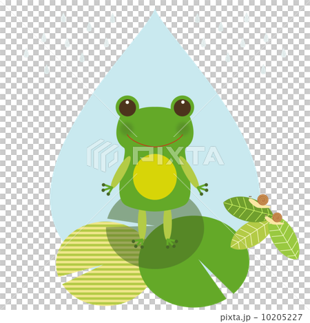 Under the rain Under the rain 10205227