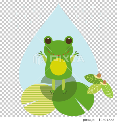 Under the rain 10205228