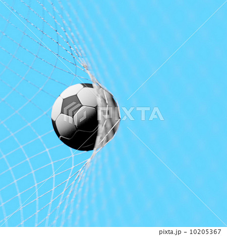 ゴール ゴール 10205367