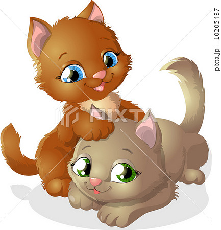 play kitten 10205437