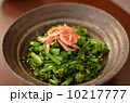 菜の花からし和え 10217777