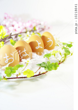 朝は玉子で 10218641