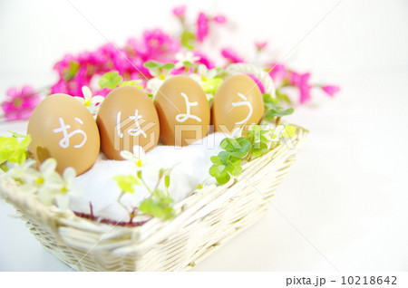 朝は玉子で 朝は玉子で 10218642