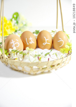 朝は玉子で 10218649