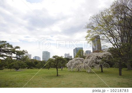 浜離宮恩賜庭園 10218783